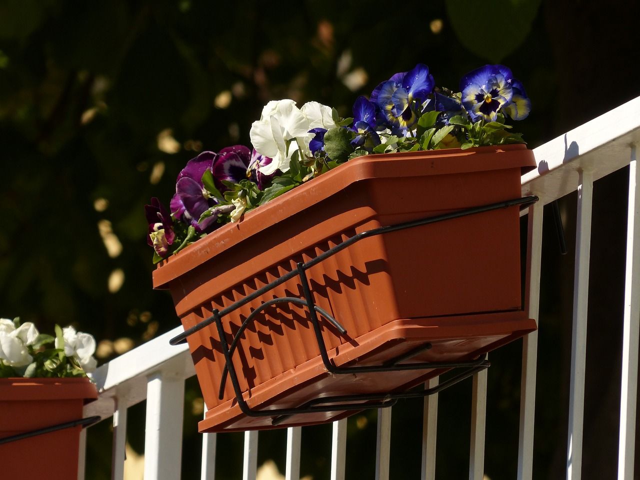 Gardening in Small Spaces: Balcony Garden Ideas